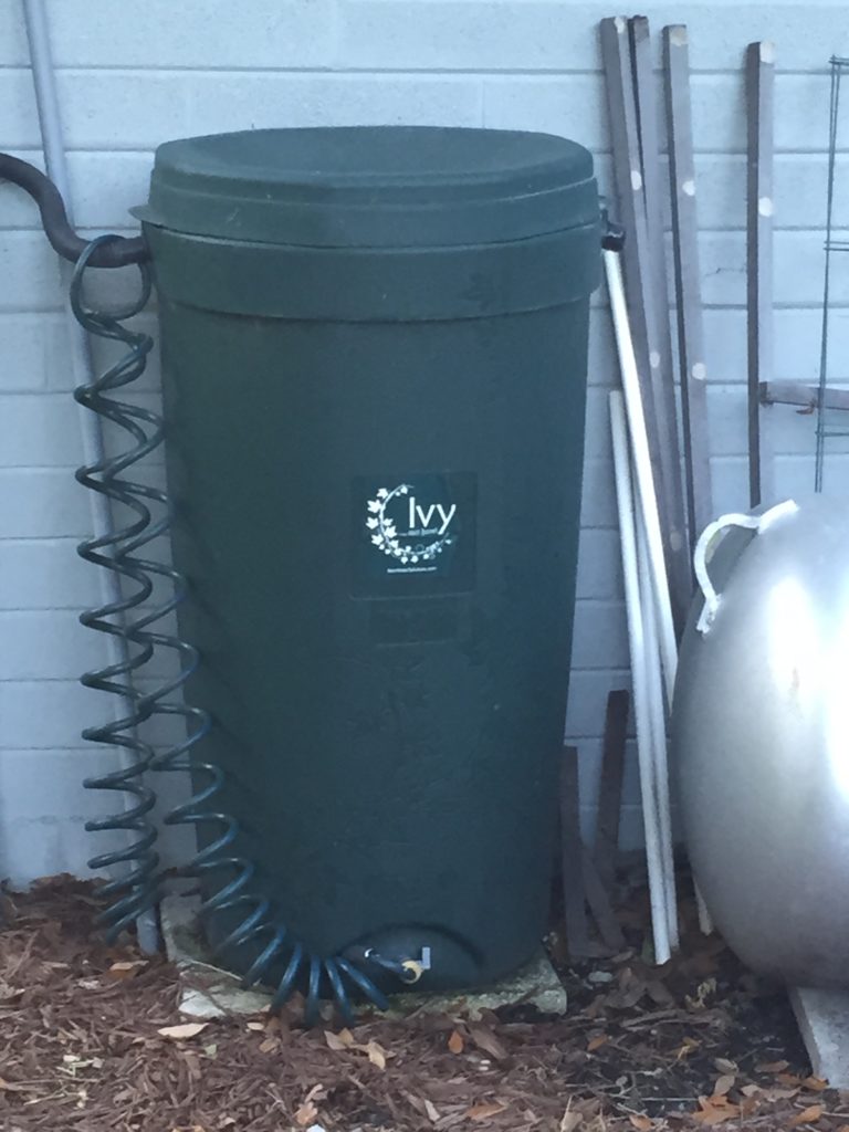Best Rainwater Barrels - green