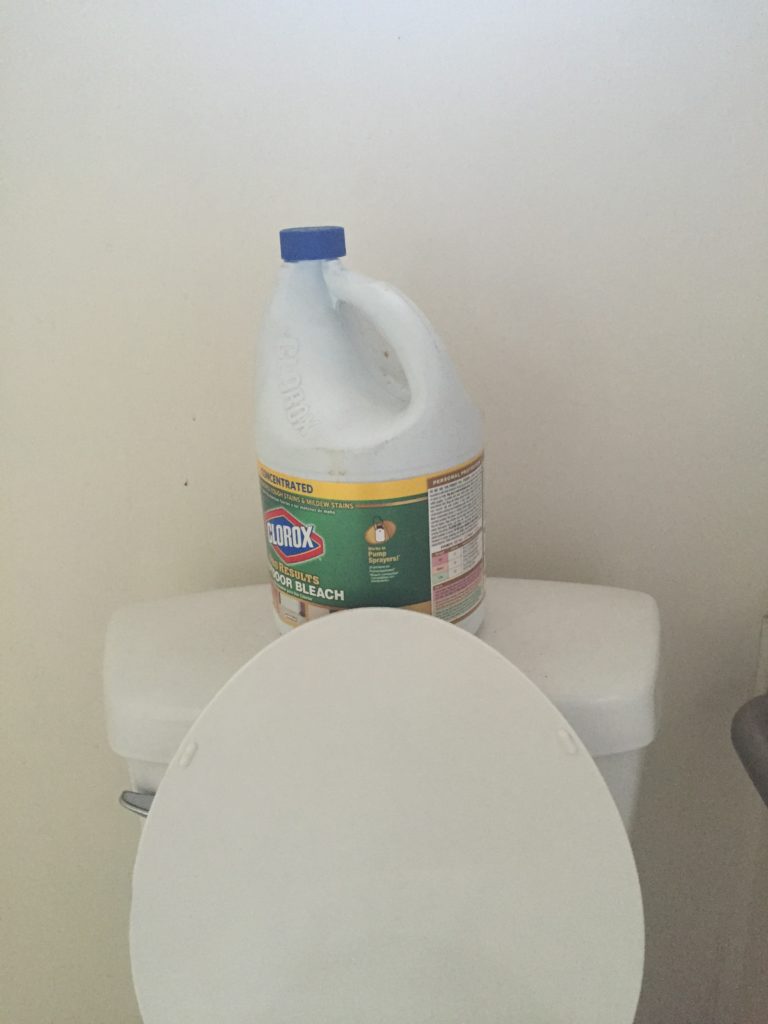 Bleach on Toilet