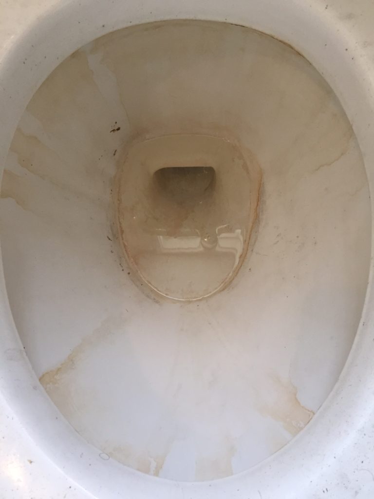 Neglected Toilet