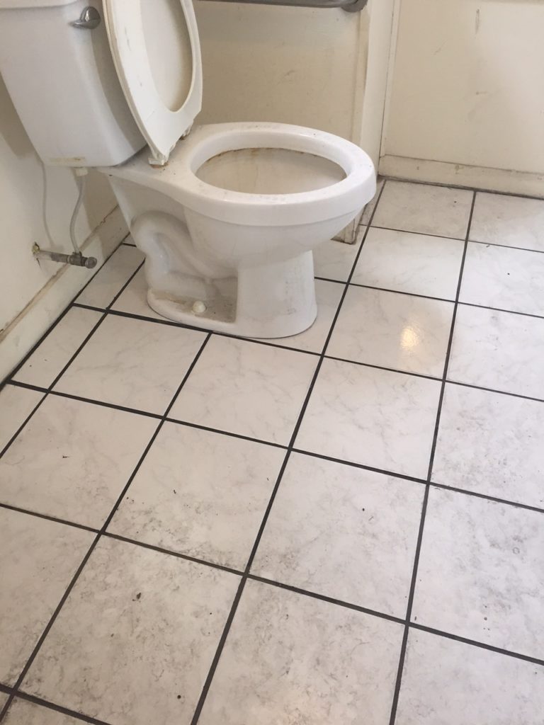 Cleaned Floor Around Toilet