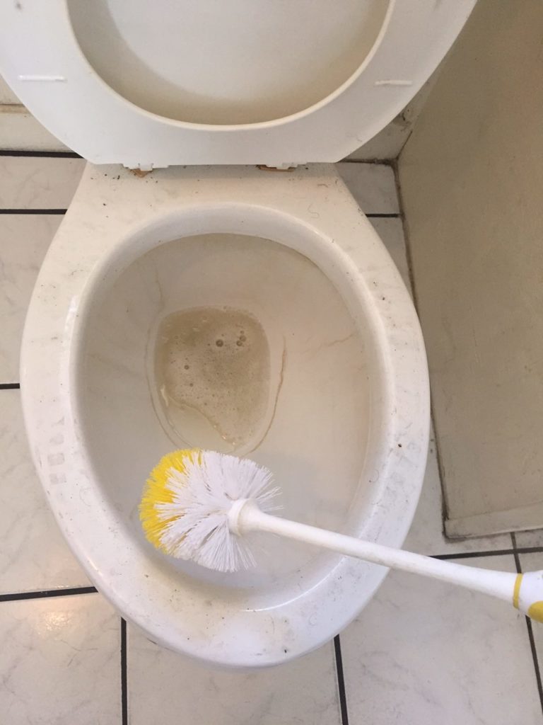 Scrubbed Toilet