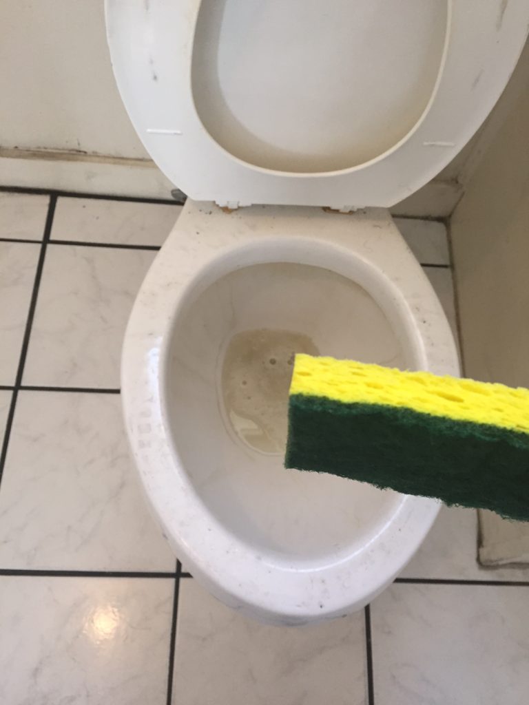 Cleaned Toilet Rim