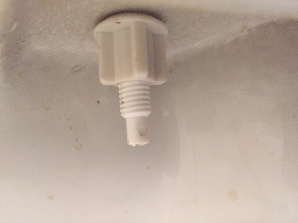 Toilet Seat Bolts
