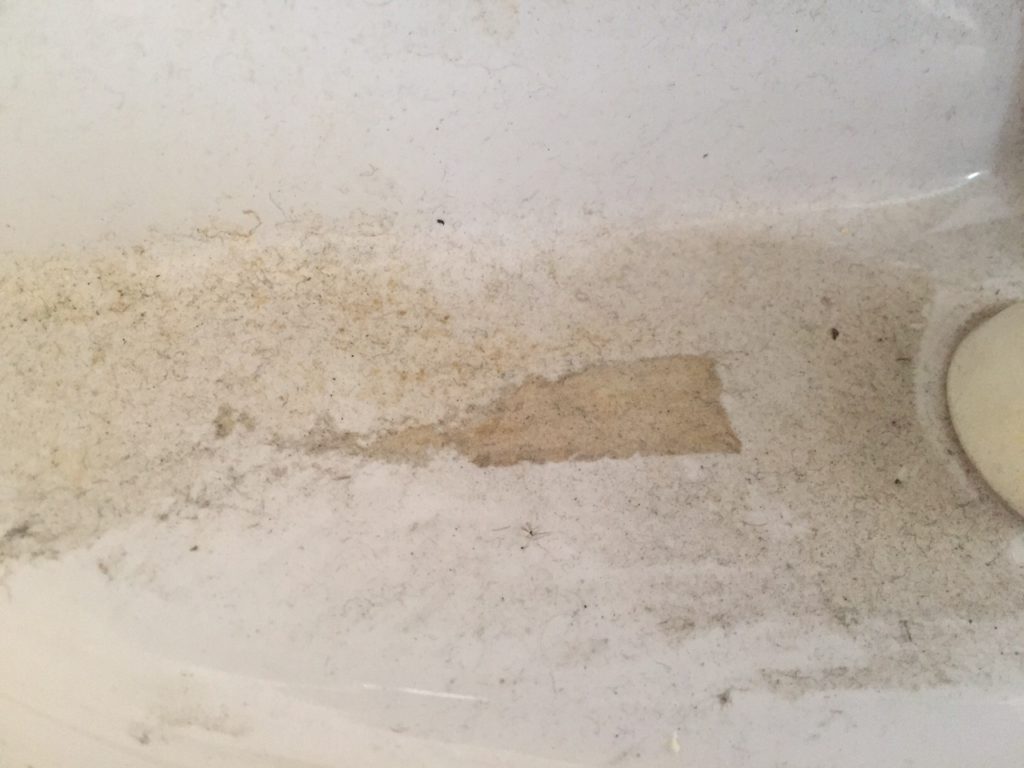 Dirty Toilet Base