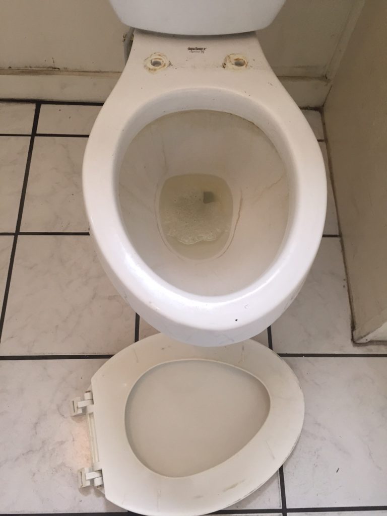 Toilet Seat Removed