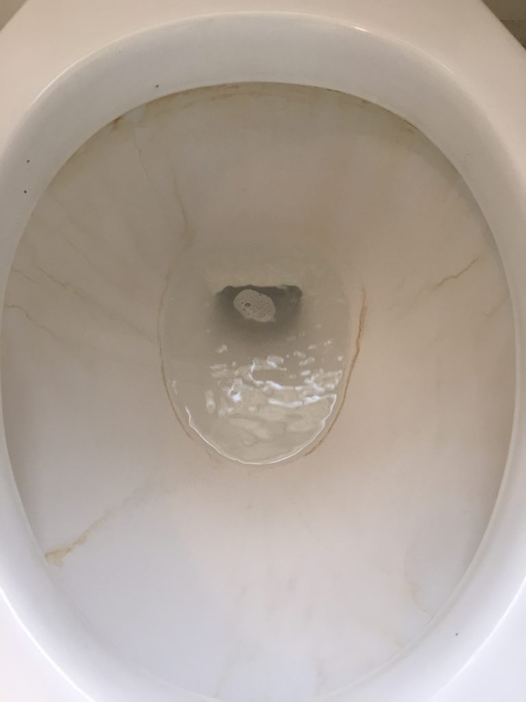 Toilet After Bleach