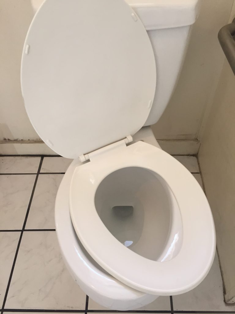 Toilet Seat Resting on Toilet