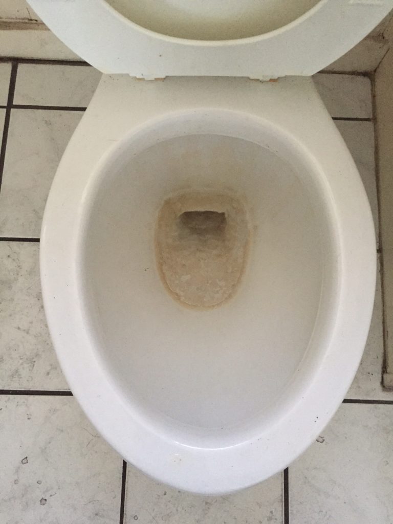 3 Weeks Later Toilet